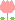 bullet